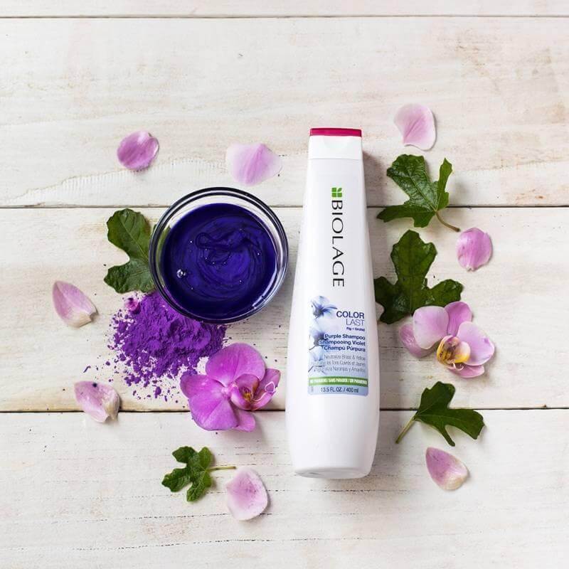 Matrix Biolage Purple shampoo-Matrix-Sjampo-JKSHOP