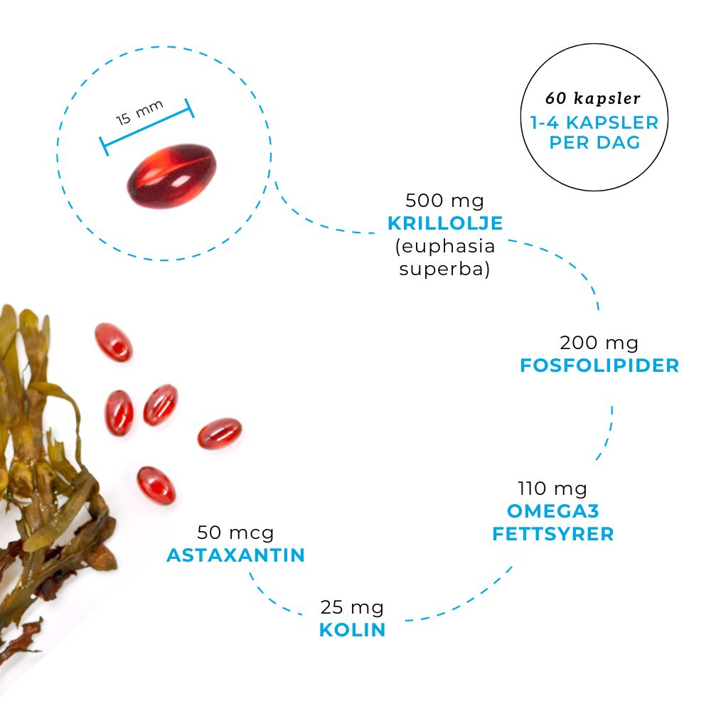 OMEGA3 KRILL,  KOLIN & ASTAXANTHIN - Vitaminer og kosttilskudd - JK-Shop