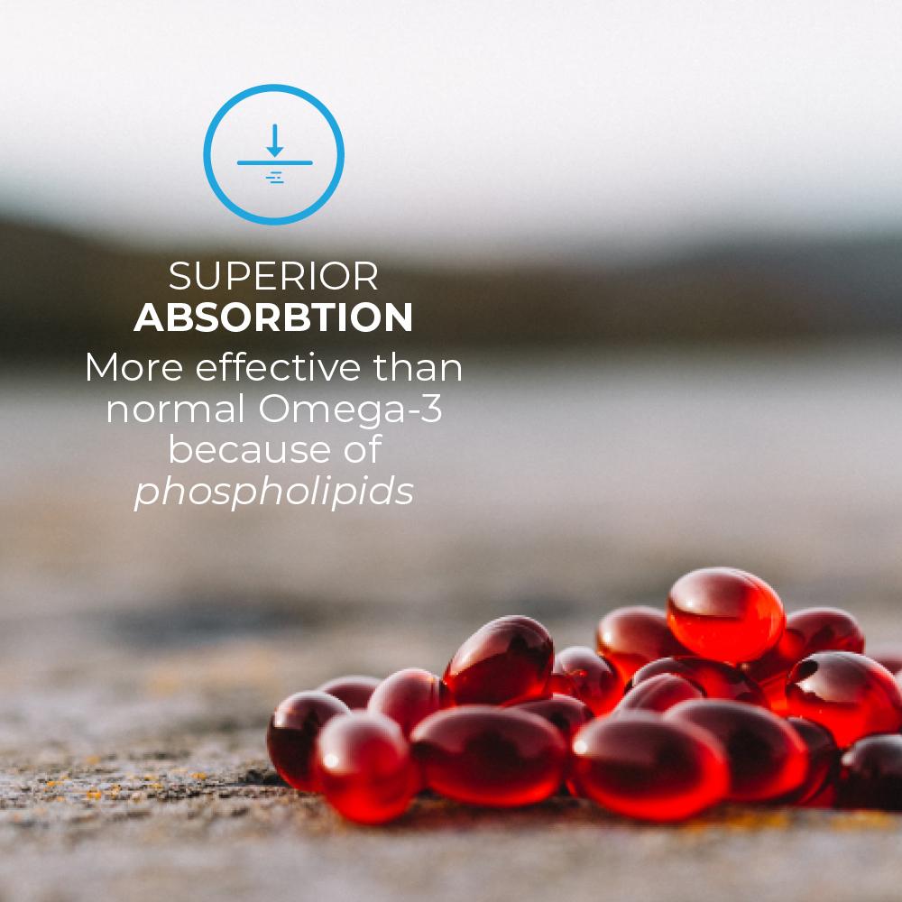 OMEGA3 KRILL,  KOLIN & ASTAXANTHIN - Vitaminer og kosttilskudd - JK-Shop
