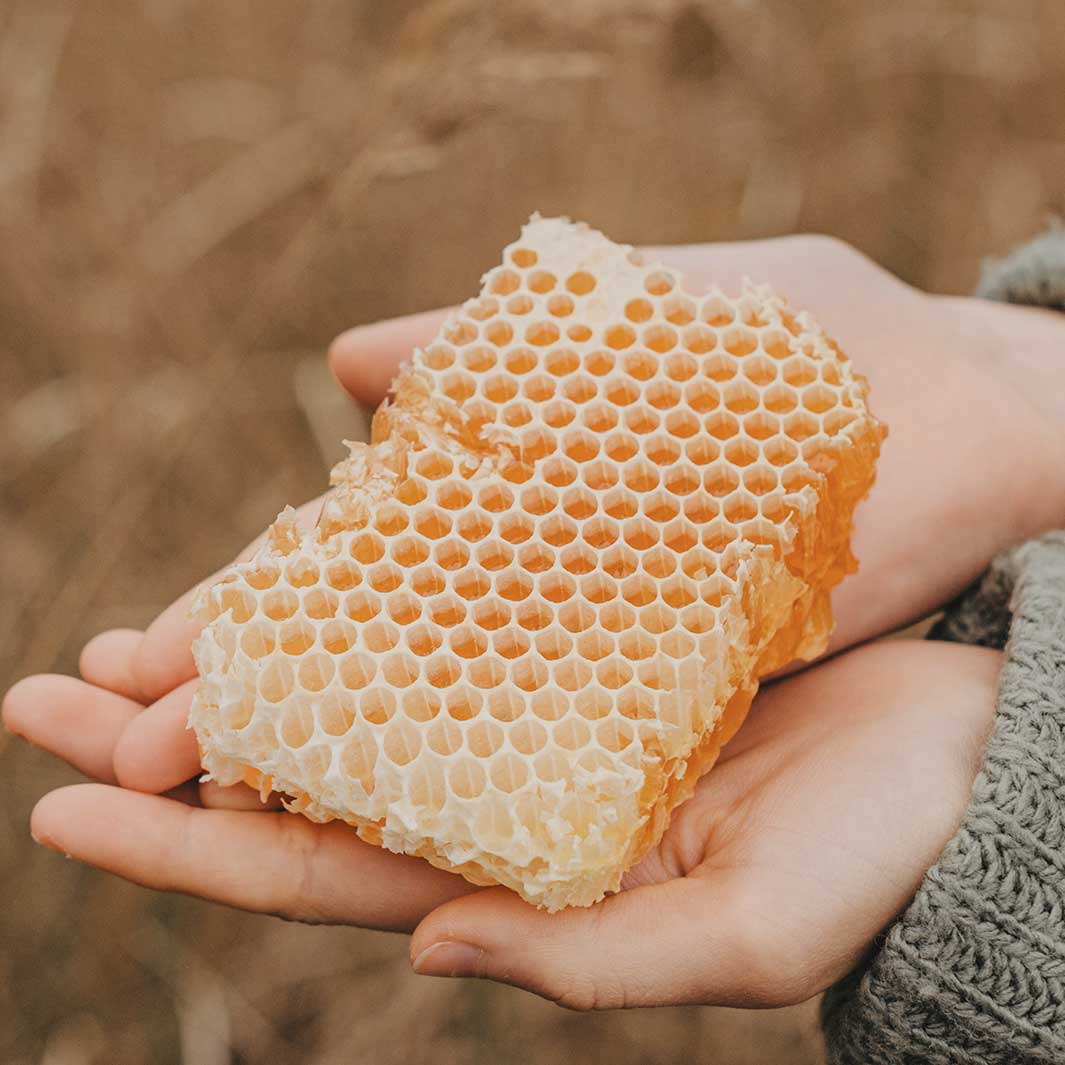 Panier Regenerating Honey Flytende såpe med SKRUBB - Såpe - JK-Shop