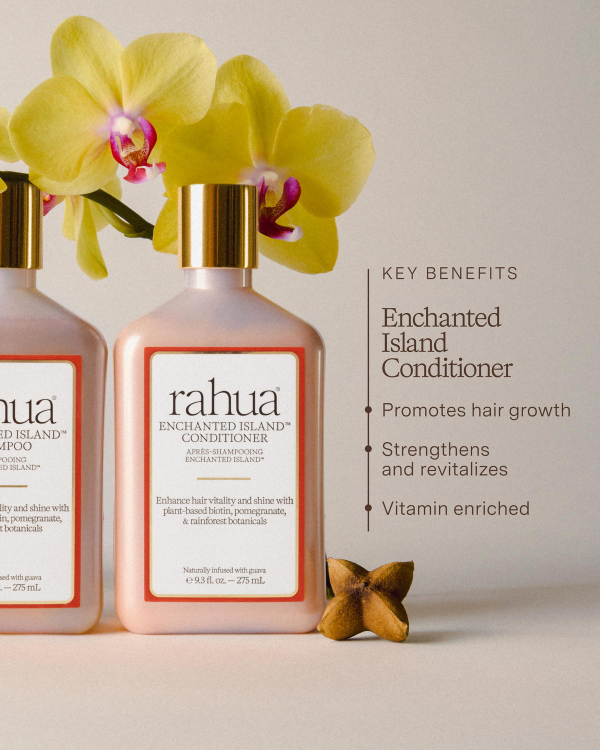Rahua Enchanted Island Conditioner 275 ml - Balsam - JK-Shop