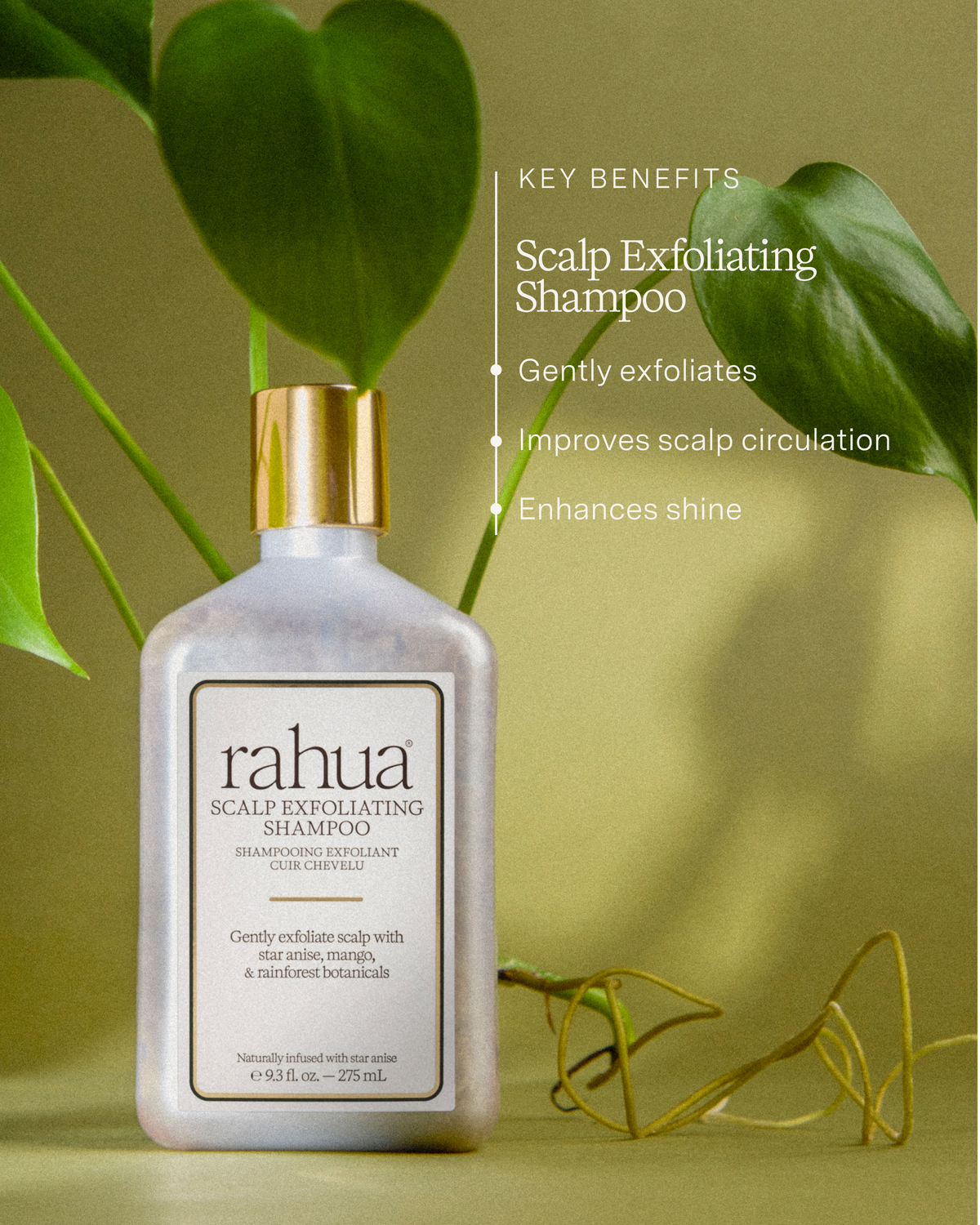 Rahua Scalp Exfoliating Shampoo 275 ml - Sjampo - JK-Shop