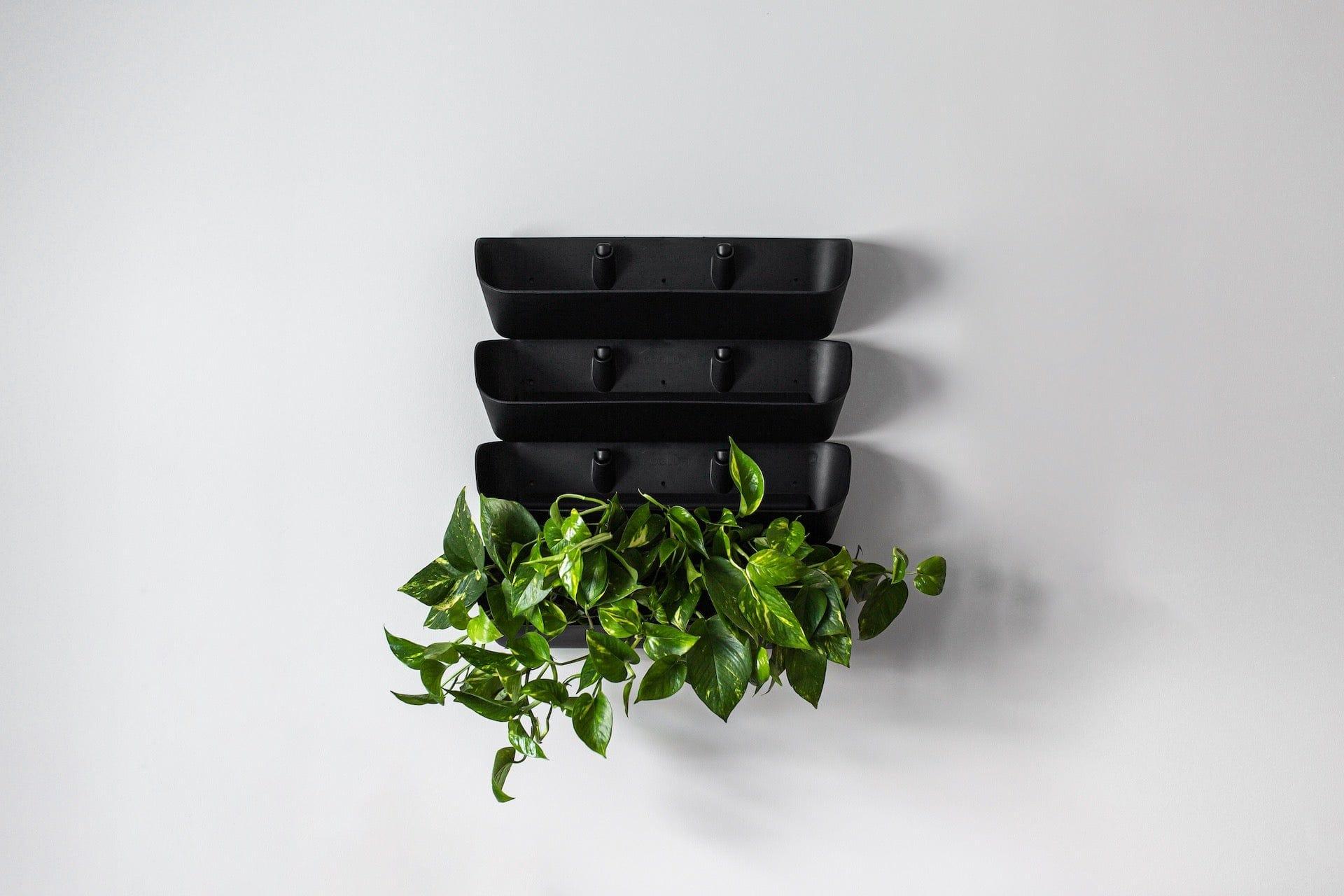 Skogluft Living Wall Kit-Skogluft-J&K Shop