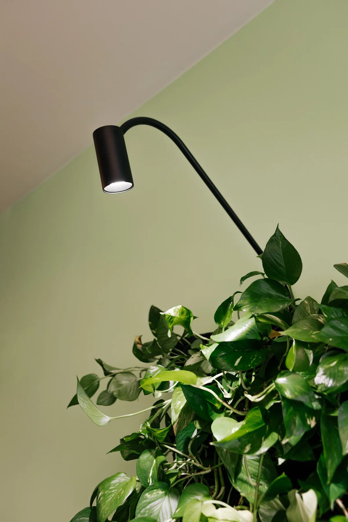 Skogluft lamp